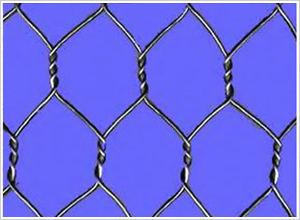 ʯ�\�W(w��ng)