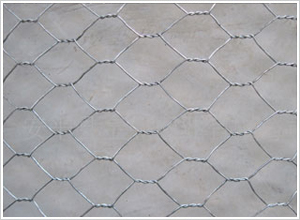 ��\ʯ�\�W(w��ng)