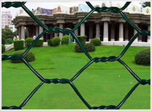 ����ʯ�\�W(w��ng)