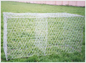 ���eʯ�\�W(w��ng)