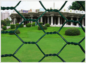 �Q��ʯ�\�W(w��ng)