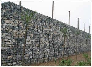 ��\䓽zʯ�\�W(w��ng)