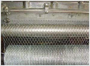 �������ǾW(w��ng)