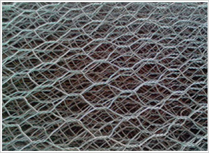 10%�\�X�Ͻ�ʯ�\�W(w��ng)