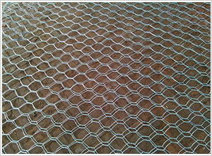 僸ߠ���ʯ�\�W(w��ng)