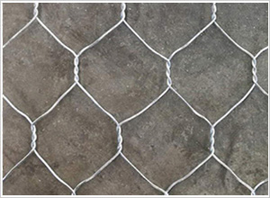 鍍鋅格賓網(wǎng) 鍍鋅格賓網(wǎng)