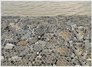 ��\���Z�o(h��)�|