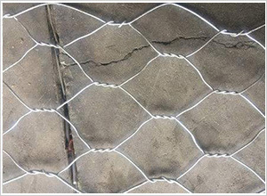 �p�g����\䓽z�W(w��ng)