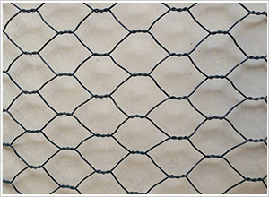 �p�g��W(w��ng)