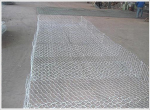 ʯ�\�W(w��ng)�|