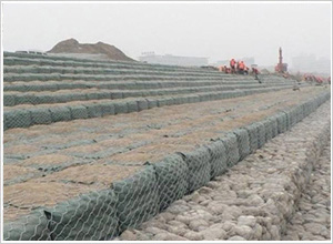 石籠網(wǎng)廠 石籠網(wǎng)廠