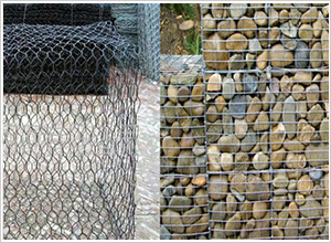 ���B(t��i)��W(w��ng)