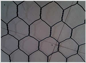 ���˸��e�W(w��ng)