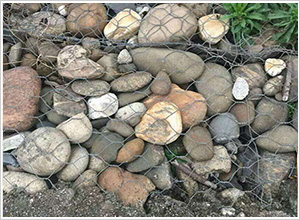 ���e�\�S��