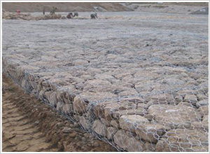 �ӵ�����ʯ�\�W(w��ng)