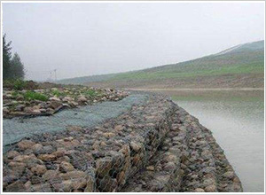 �o(h��)�����Z�o(h��)�|