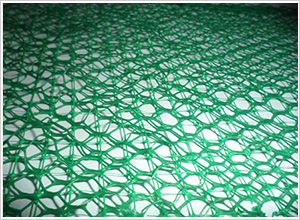 �ӽ����ˉ|