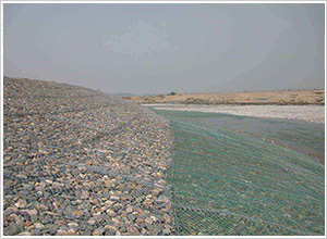 �G��W(w��ng)