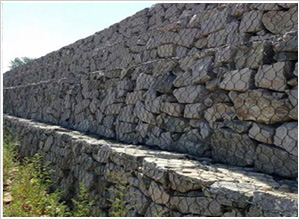 �G��W(w��ng)��